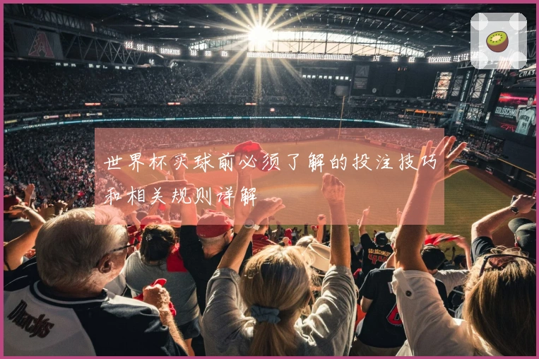 世界杯买球前必须了解的投注技巧和相关规则详解