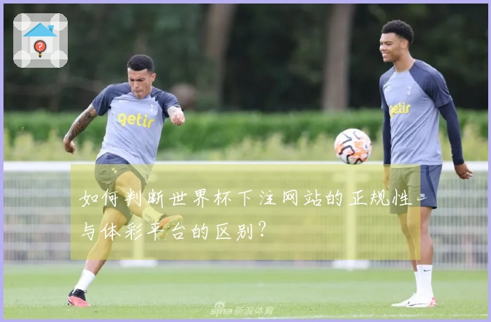 如何判断世界杯下注网站的正规性与体彩平台的区别？